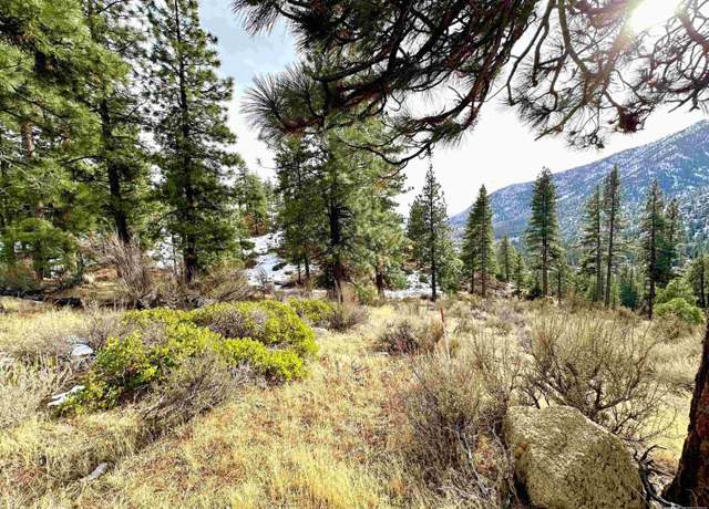 Property at 187 Scenic Range Ct, Carson City, NV 89705
