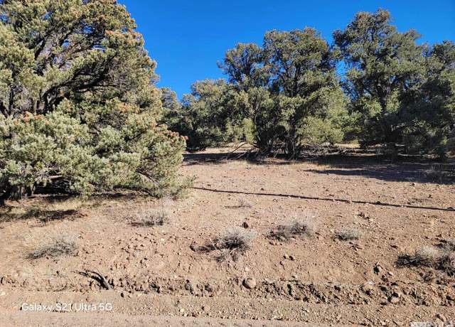 Property at 1450 Yellowjacket Rd, Reno, NV 89521