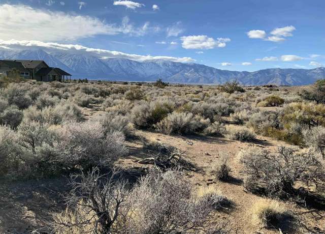 Property at 1290 Jo Ln, Gardnerville, NV 89410