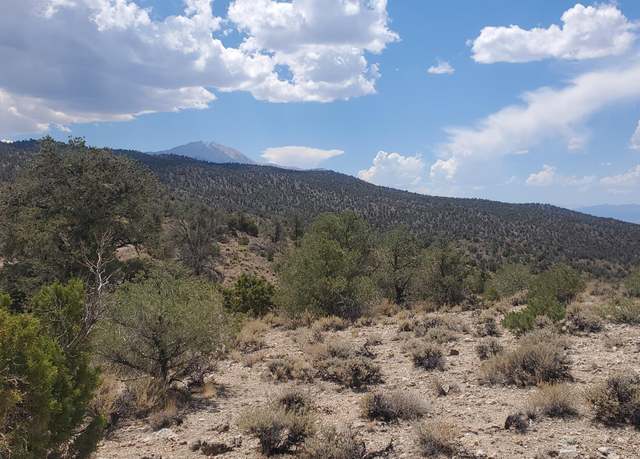 Property at T5N R28E S5 Lucky Boy Pass Rd, Hawthorne, NV 89415