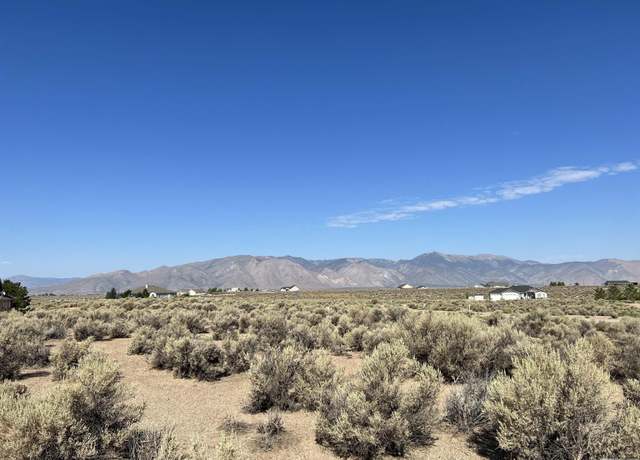 Property at 75 Desert Vw, Smith, NV 89430