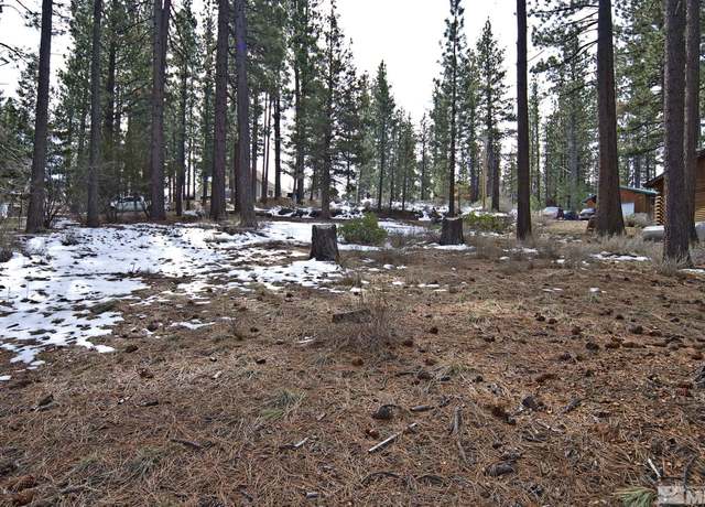 Property at 50 Pinon Rd, Markleeville, CA 96120