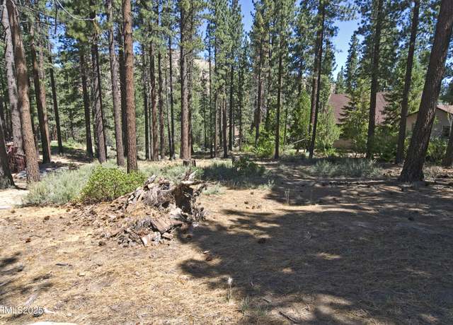 Property at 50 Pinon Rd, Markleeville, CA 96120
