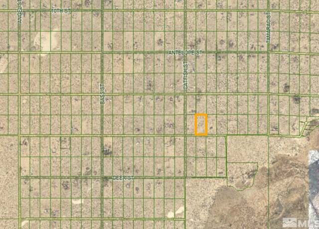 Property at 2590 E Cougar St, Silver Springs, NV 89429