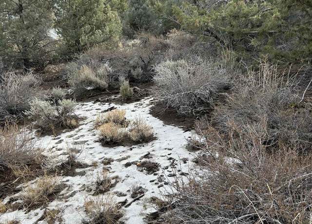 Property at 1825 Empire Rd, Virginia City, NV 89521