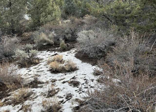 Property at 1825 Empire Rd, Virginia City, NV 89521