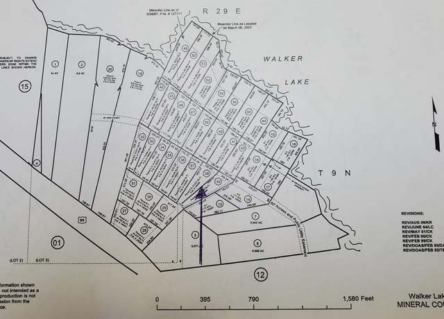 Property at 106 Shores Dr, Walker Lak, NV 89415