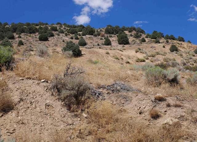 Property at 0 C St/hwy 341, Virginia City, NV 89440