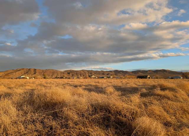 Property at 590 Pete Henrichs Rd, Yerington, NV 89447