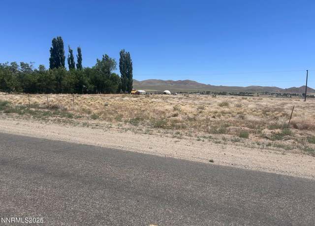 Property at 557 Pete Hendrichs Rd, Yerington, NV 89447