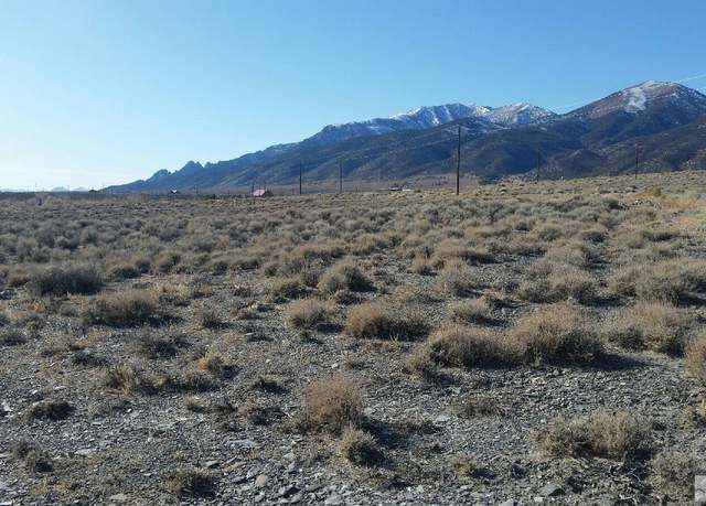 Property at 102 Ophir Rd, Austin, NV 89310