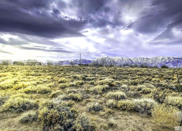 Property at TBD Toler, Gardnerville, NV 89410