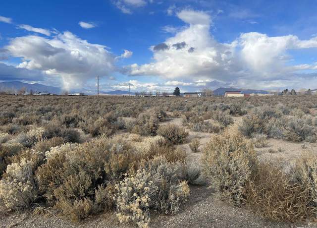 Property at 62 Acciari Rd, Smith, NV 89430
