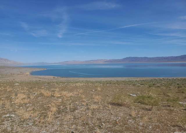 Property at APN 008-170-06, Walker Lake, NV 89415