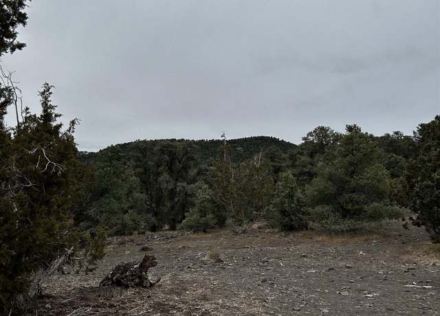 Property at 2035 Silverado Rd, Reno, NV 89521