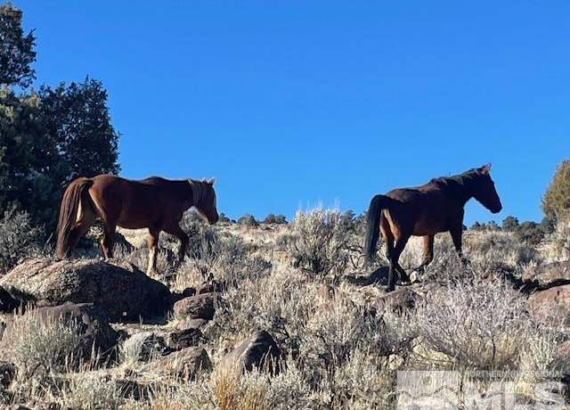 Property at 40S Sw4nw4-s16/18n/21e, Virginia City, NV 89521