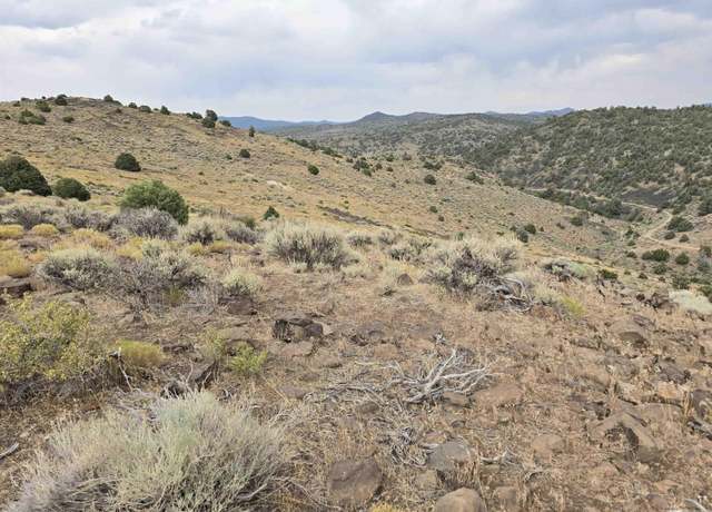 Property at 004-221-19, Virginia City, NV 89521