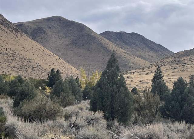 Property at Lot 10 Mill Crk, Coleville, CA 96107
