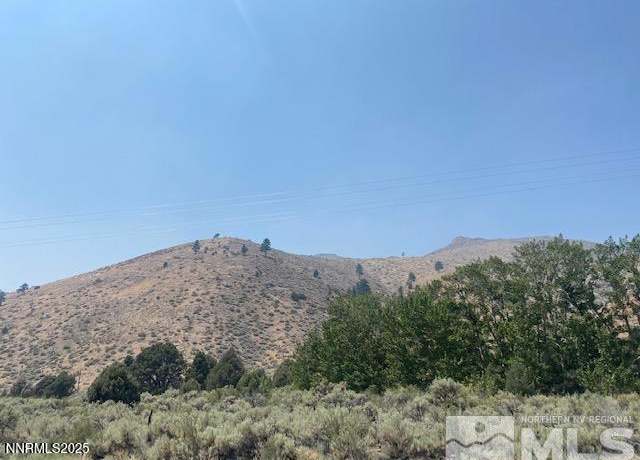 Property at 0 Highway 395, Coleville, CA 96107