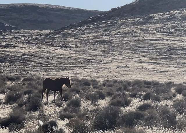 Property at 9325 Western Way, Stagecoach, NV 89429