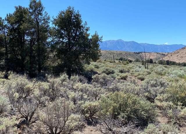 Property at TBD Pine Nut (30) Trl, Gardnerville, NV 89410