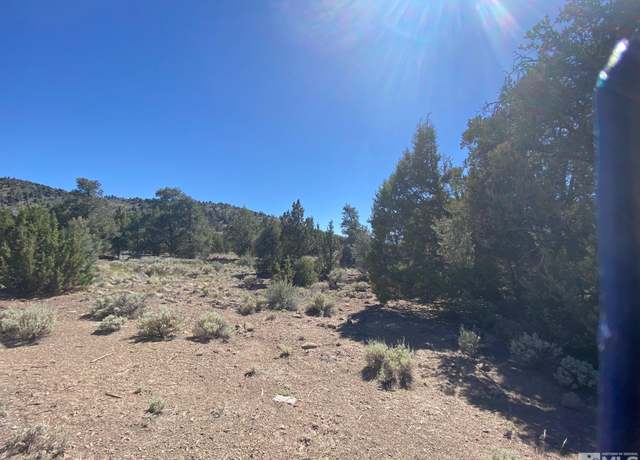 Property at TBD Sunrise Pass (28) Trl, Gardnerville, NV 89410