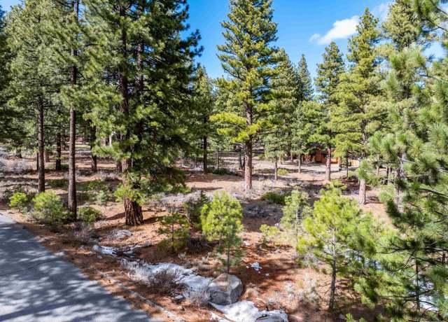 Property at 17065 Evergreen Hills Dr, Reno, NV 89511