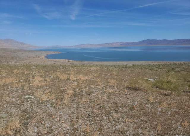 Property at APN 008-170-07, Walker Lake, NV 89415