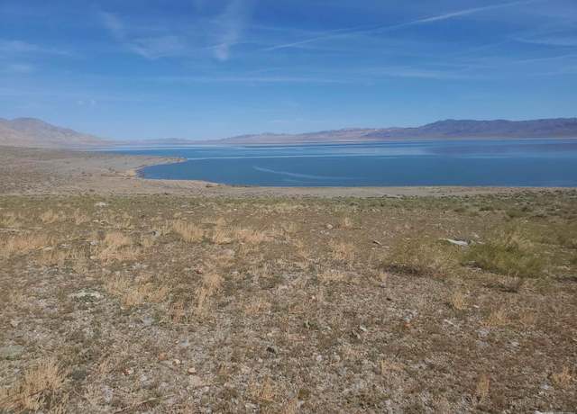 Property at APN 008-170-07, Walker Lake, NV 89415