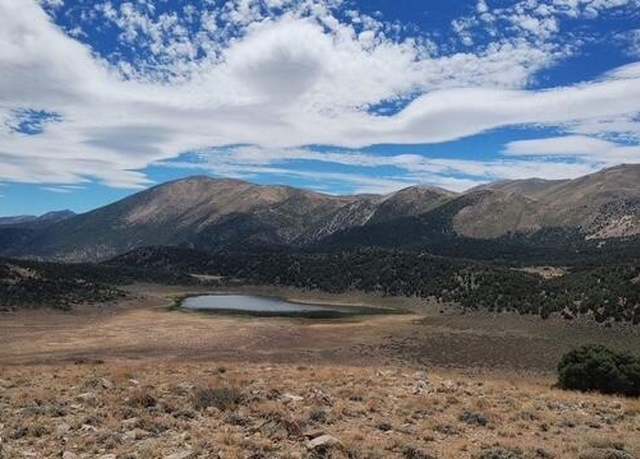 Property at TBD S Pine Nut Mountains (43) Trl #43, Gardnerville, NV 89410