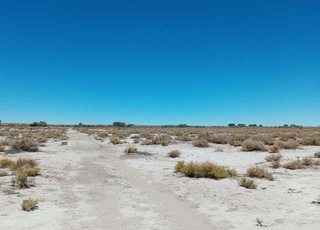 Property at APN # 007-091-60, Fallon, NV 89406