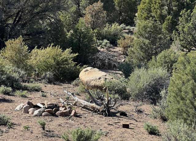 Property at TBD Pine Nut (58) Trl #58, Gardnerville, NV 89410