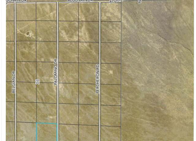 Property at 08067107 Palomino Rd, Golconda, NV 89414