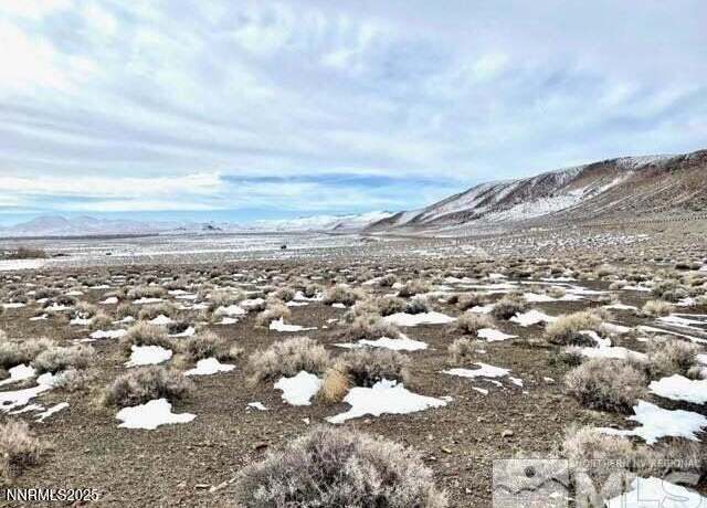 Property at 8360 S Highway 95a, Silver Springs, NV 89429