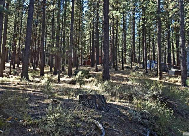 Property at 66 Pleasant Valley Rd, Markleeville, CA 96120