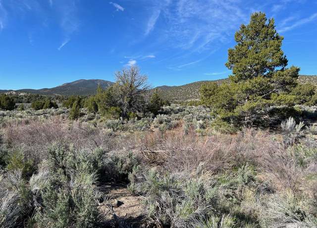 Property at TBD Pine Nut (53) Trl #53, Gardnerville, NV 89410