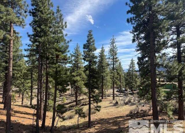 Property at 187 Duane Bliss Way, Carson City, NV 89705