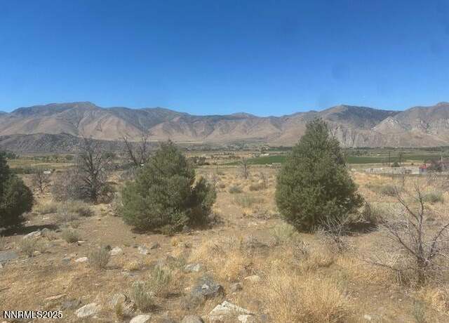 Property at 0 Pinon Pl, Coleville, CA 96107