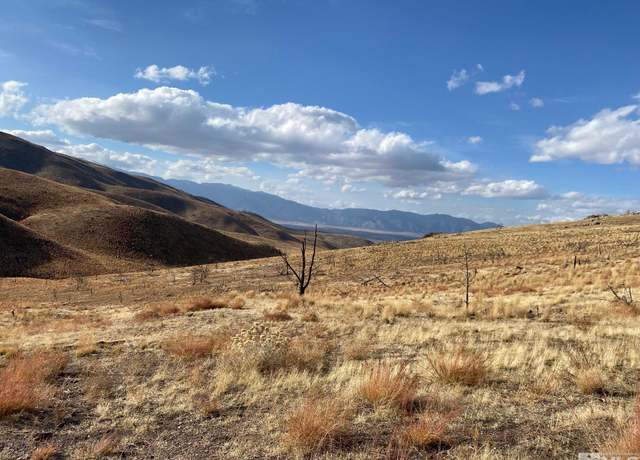 Property at TBD S Off Pine Nut (10) Rd #10, Gardnerville, NV 89410