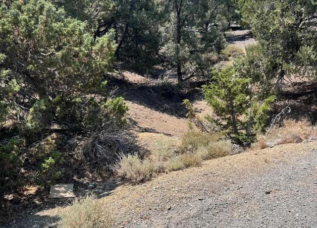 Property at 2070 Alpine Rd, Virginia City, NV 89511