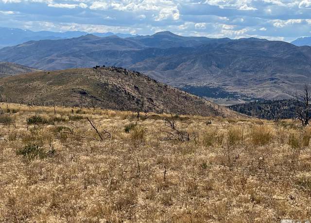 Property at TBD S Blossom Canyon (17) Rd, Gardnerville, NV 89410