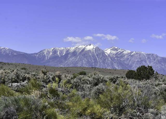 Property at TBD Homestead, Gardnerville, NV 89410