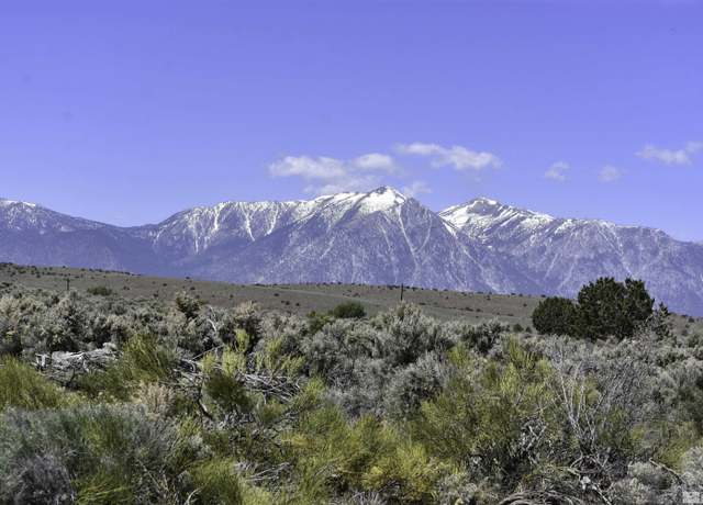 Property at TBD Homestead, Gardnerville, NV 89410