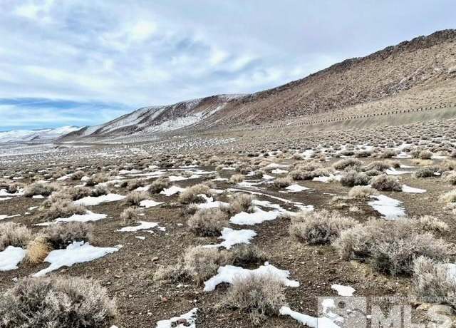 Property at 8420 S Hwy 95a, Silver Springs, NV 89429