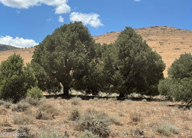 Property at 1400 Breccia Rd, Gardnerville, NV 89444