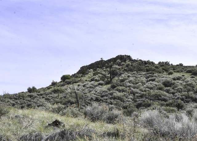 Property at TBD China Springs Rd, Gardnerville, NV 89410