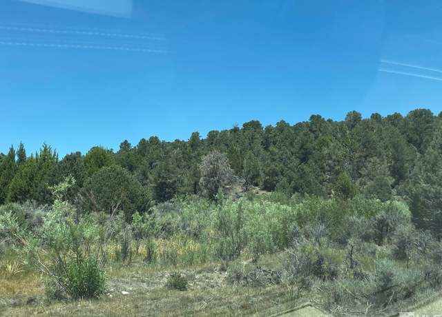 Property at tbd P14 Blm Trail (77) Trl #77, Minden, NV 89423
