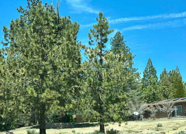 Property at 4324 Combs Canyon Rd, Carson City, NV 89703