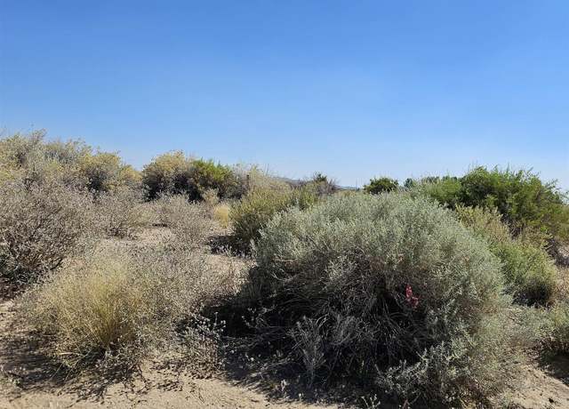 Property at 8245 Kamibo Dr, Fallon, NV 89406