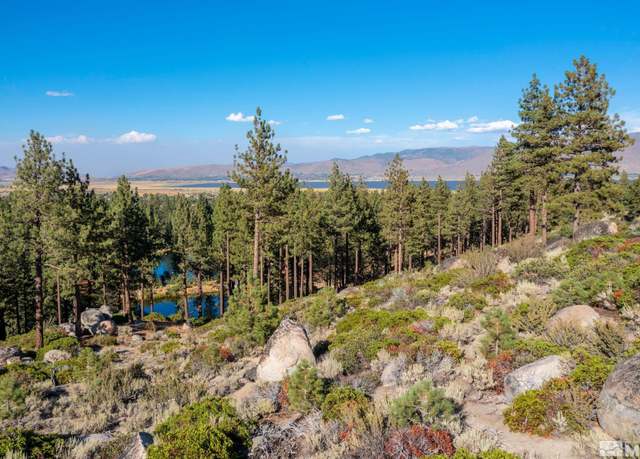 Property at 00 Franktown Rd, Washoe Valley, NV 89704